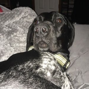 Meet your Posher, Haley